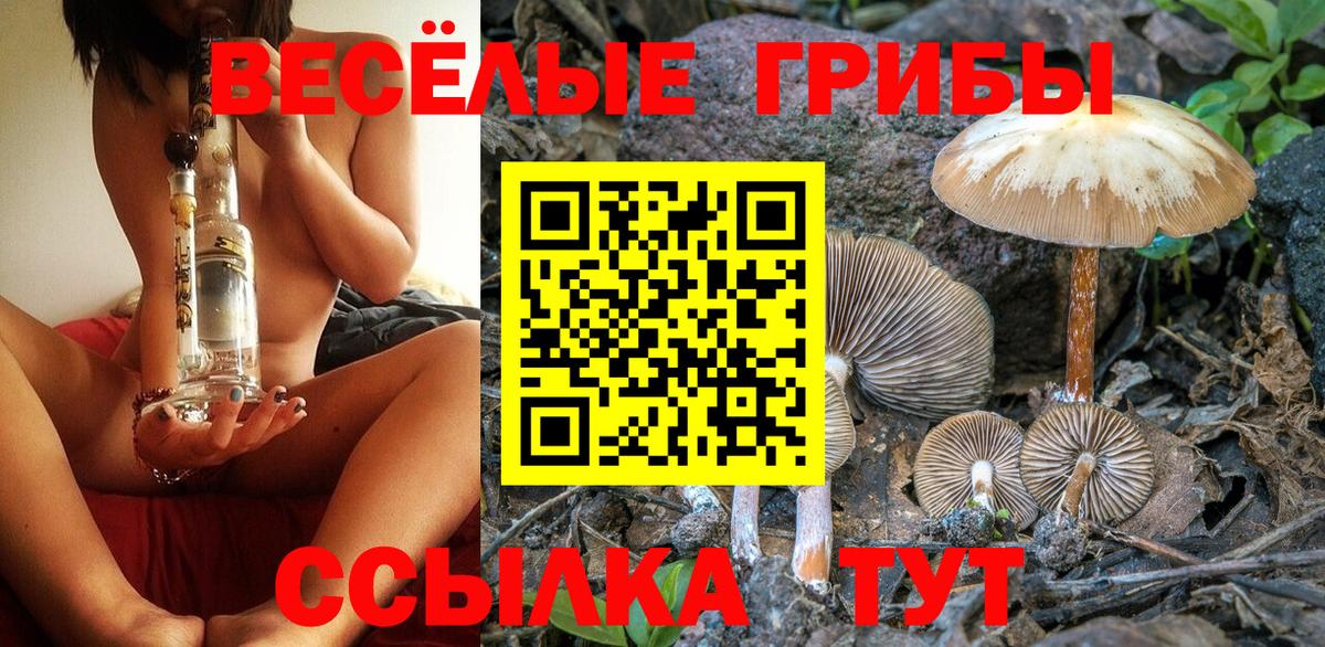 Псилоцибиновые грибы Psilocybine cubensis  Вход с VPN  продажа наркотиков  Шебекино 